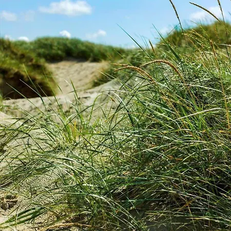 Сasa de vacaciones 0339-romo-a-hveyselsvej-32 Rømø Kirkeby