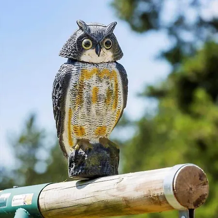 0339-romo-a-hveyselsvej-32 Holiday home *