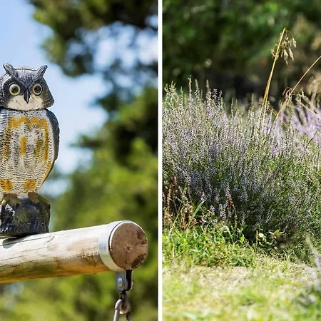 Сasa de vacaciones 0339-romo-a-hveyselsvej-32 *