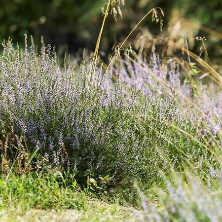 0339-romo-a-hveyselsvej-32 Holiday home Romo Kirkeby