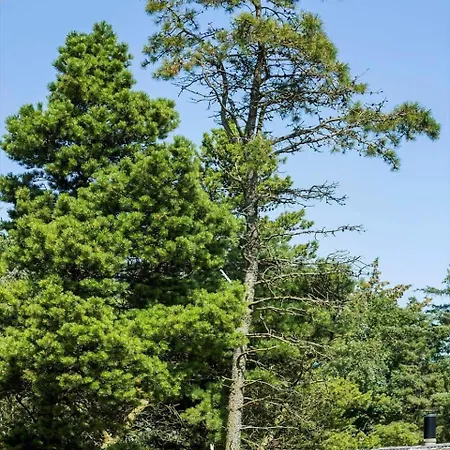 0339-romo-a-hveyselsvej-32 Сasa de vacaciones *