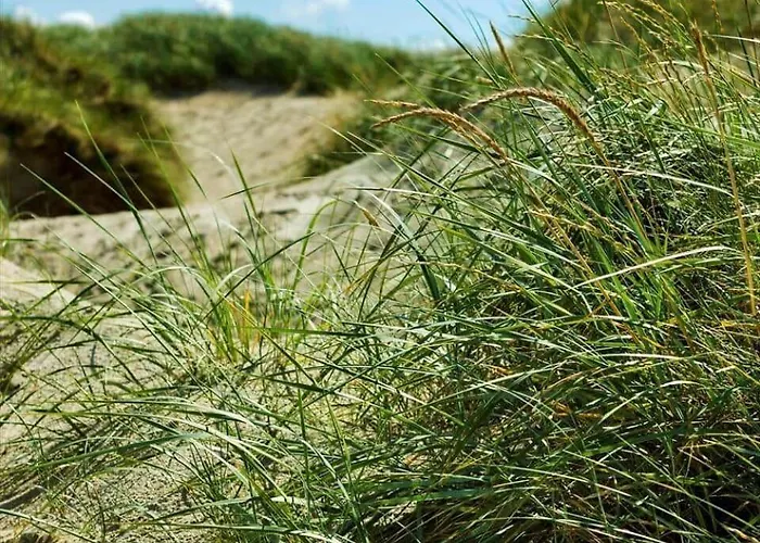 Vakantiehuis 0339-romo-a-hveyselsvej-32 Rømø Kirkeby