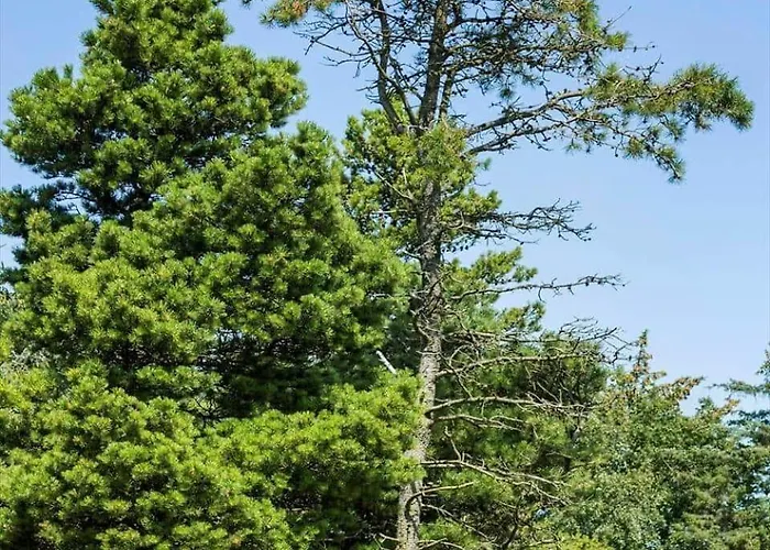 0339-romo-a-hveyselsvej-32 Vakantiehuis *