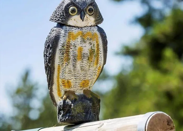 0339-romo-a-hveyselsvej-32 Tatil Evi Rømø Kirkeby