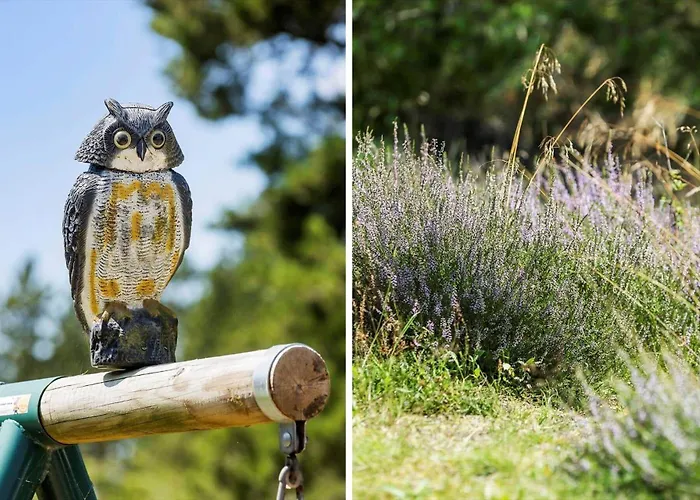 Tatil Evi 0339-romo-a-hveyselsvej-32